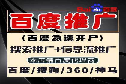 SEM代运营服务公司成功案例解析